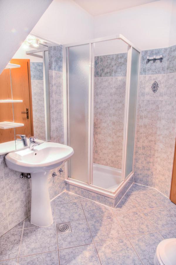 פאז'אנה Apartment Josip 2011 מראה חיצוני תמונה